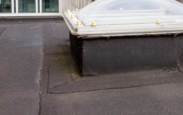 disadvantages of Bettiscombe flat roofs