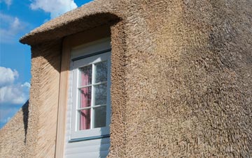 Bettiscombe thatch roof disadvantages
