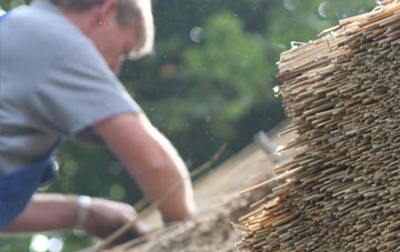 professional Bettiscombe thatchers