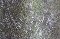 Bettiscombe fibreglass roof work